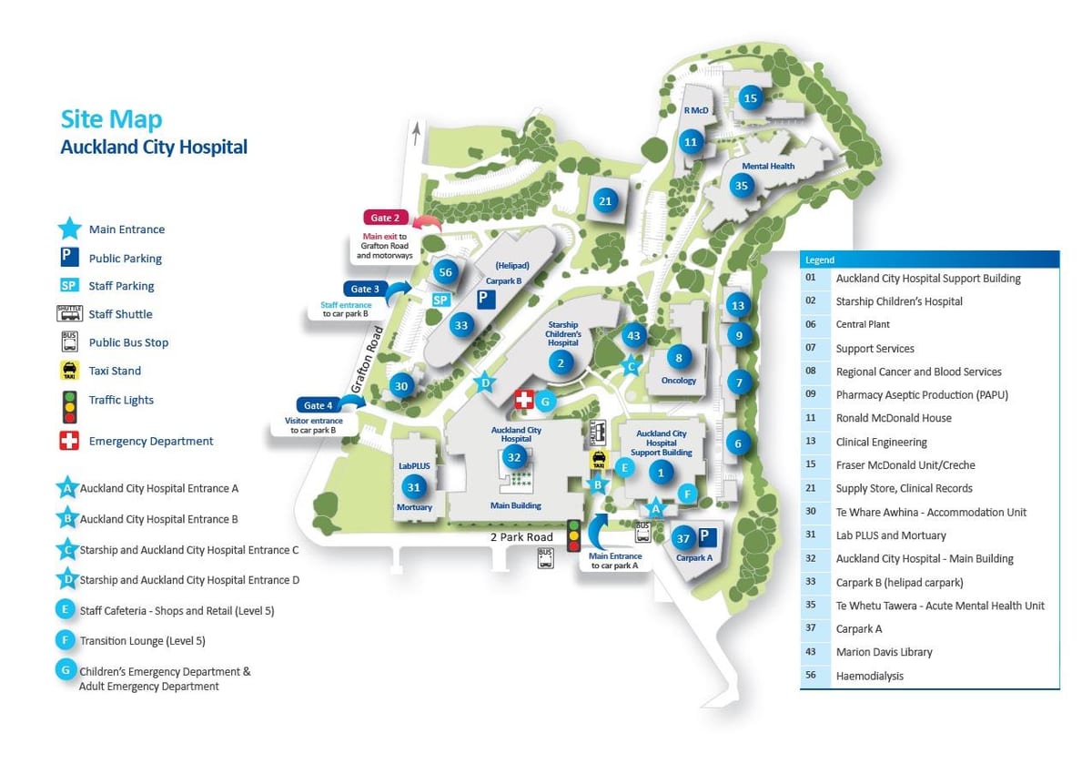 peta Auckland hospital