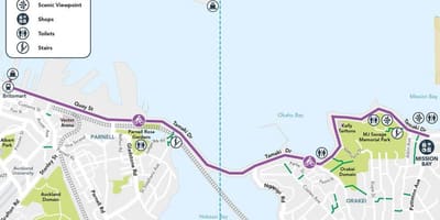 Pink cycleway Auckland peta