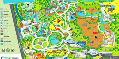 Peta Auckland zoo